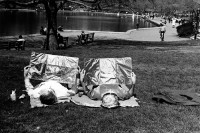 Sunbathers with reflectors, Central Park